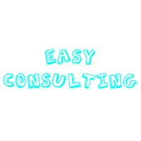 Easy Consulting image 15